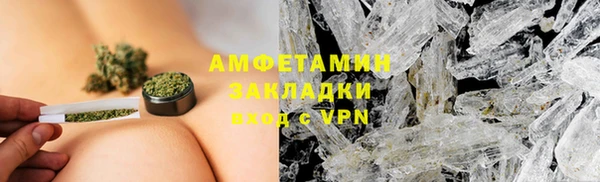 прущие грибы Бородино