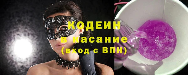 прущие грибы Бородино