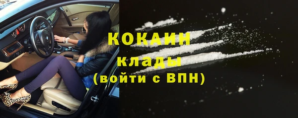 прущие грибы Бородино