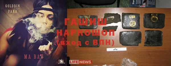 прущие грибы Бородино