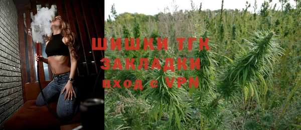 прущие грибы Бородино
