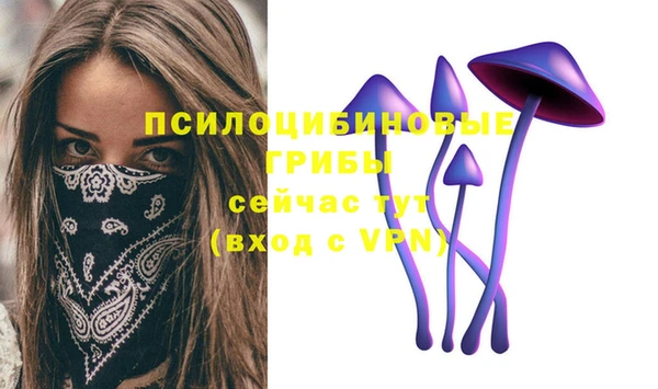 стаф Бронницы