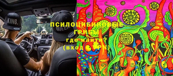 стаф Бронницы