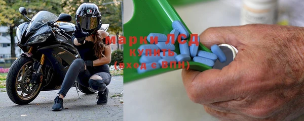 прущие грибы Бородино