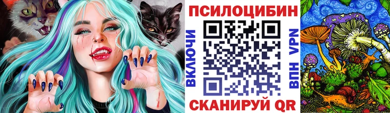 цена   Касимов  Псилоцибиновые грибы Psilocybine cubensis 